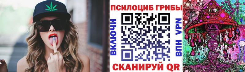 Псилоцибиновые грибы Psilocybine cubensis  Черноголовка 